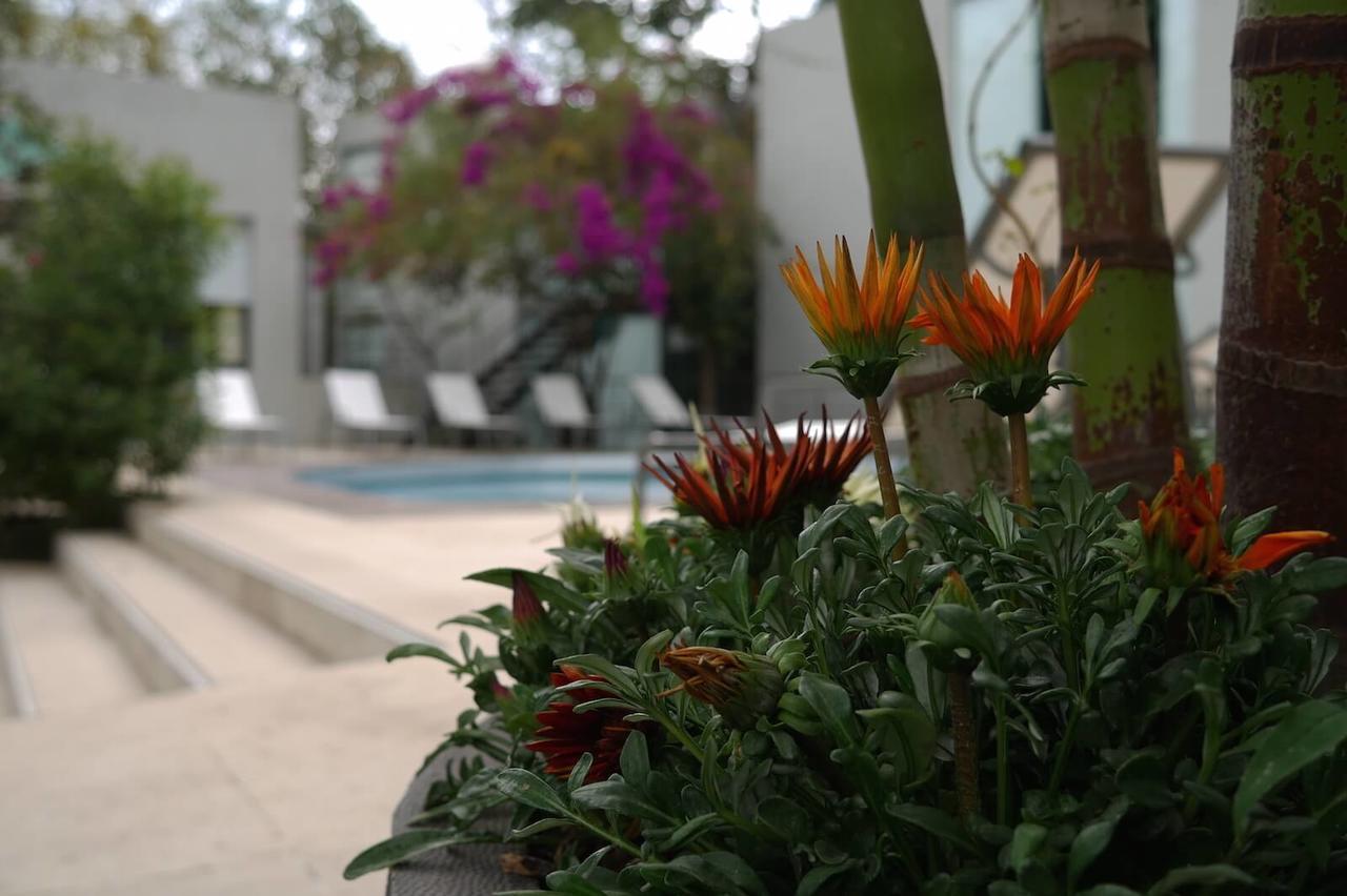 Casa Tepoztlan Bed & Breakfast Exterior foto